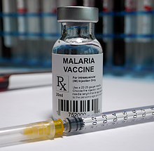 malaria vaccine