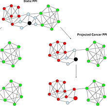 static and projected cancer PPI 