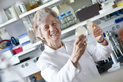 Colwell holding petri dishes