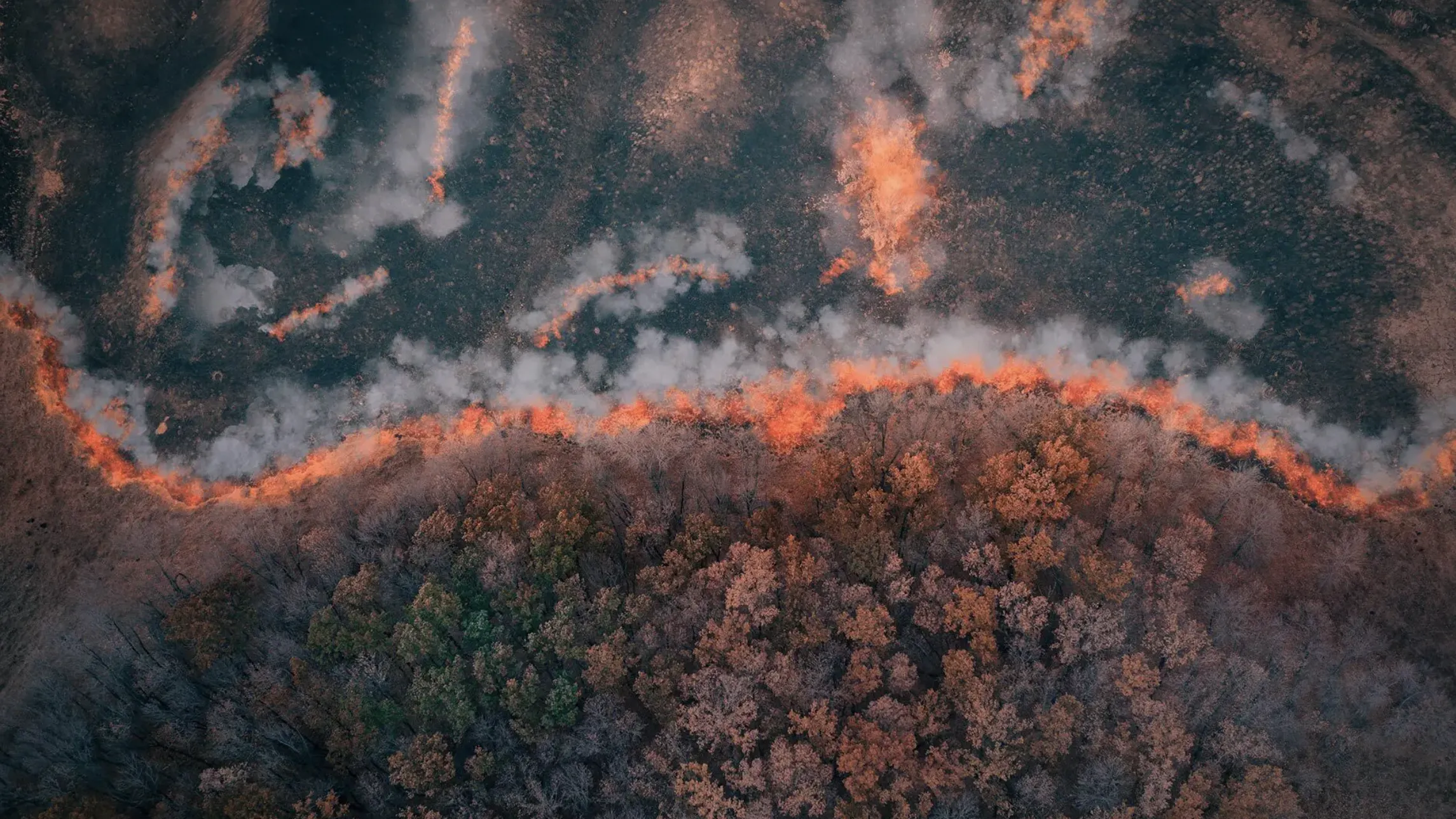 aerial view of wildfire
